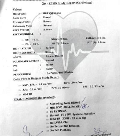2d echo result|2d echo test report.